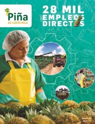 REVISTA PIÑA DE COSTA RICA 39