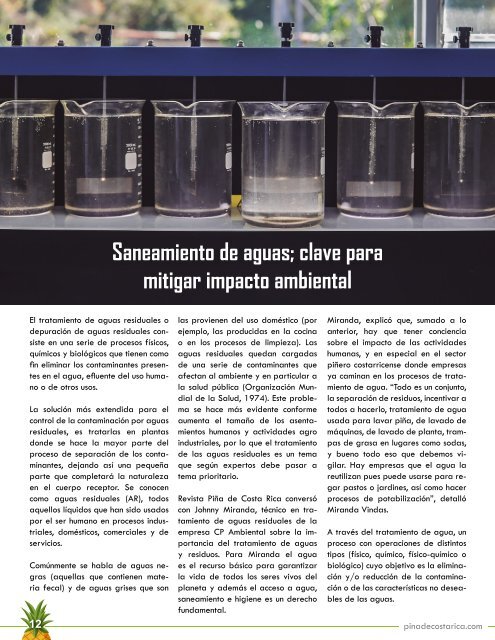 REVISTA PIÑA DE COSTA RICA 39