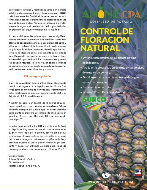 REVISTA PIÑA DE COSTA RICA 39