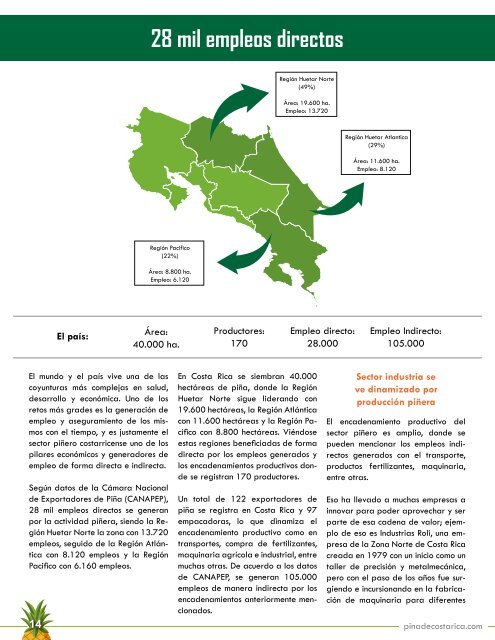 REVISTA PIÑA DE COSTA RICA 39