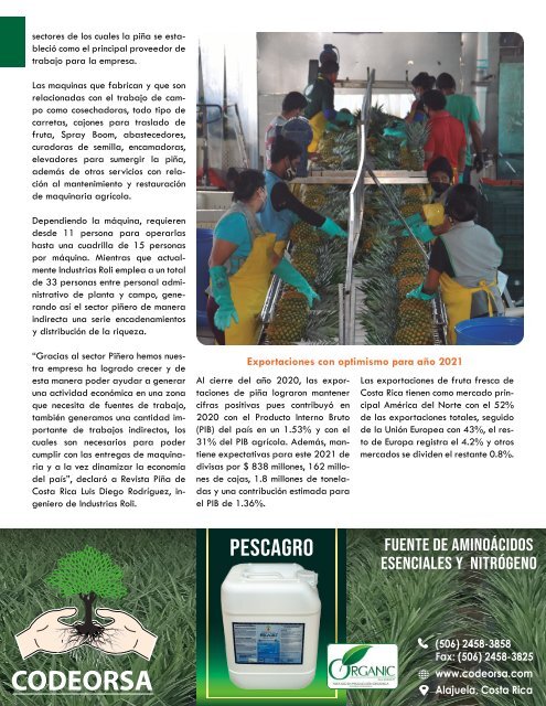 REVISTA PIÑA DE COSTA RICA 39