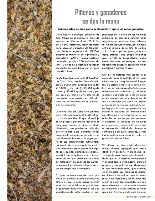 REVISTA PIÑA DE COSTA RICA 39