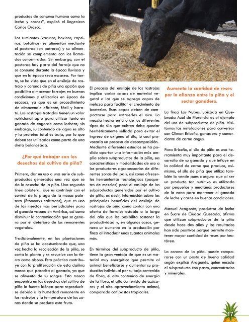 REVISTA PIÑA DE COSTA RICA 39