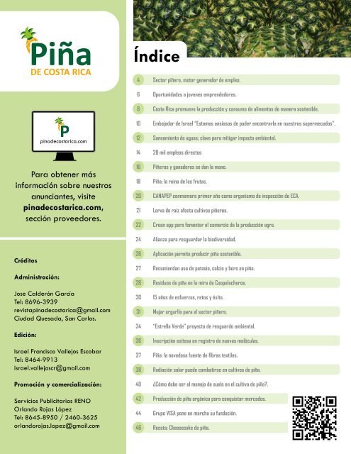 REVISTA PIÑA DE COSTA RICA 39