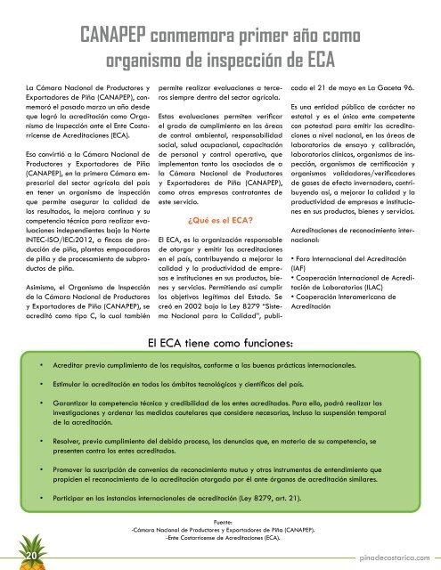 REVISTA PIÑA DE COSTA RICA 39