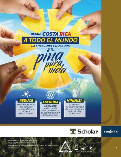 REVISTA PIÑA DE COSTA RICA 39
