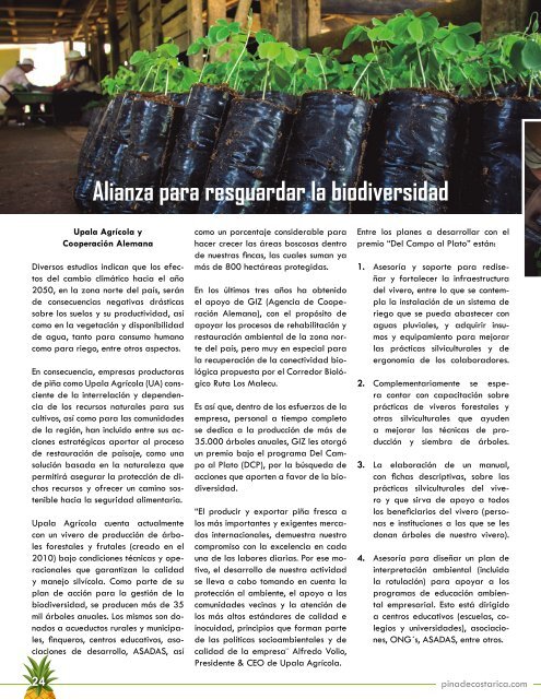 REVISTA PIÑA DE COSTA RICA 39