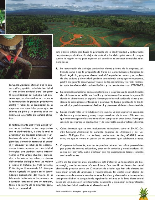 REVISTA PIÑA DE COSTA RICA 39