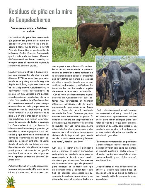 REVISTA PIÑA DE COSTA RICA 39