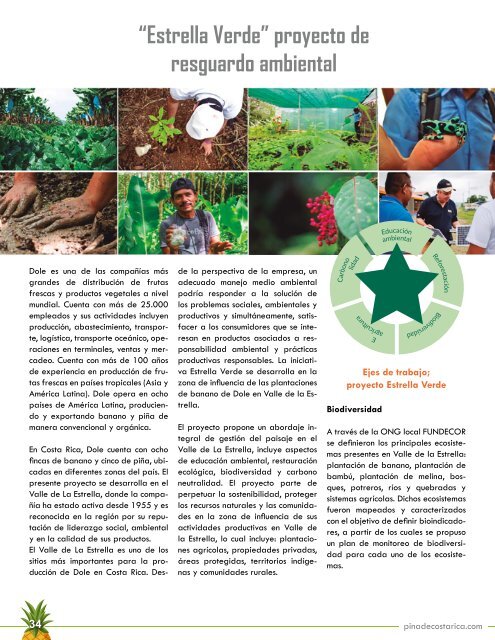 REVISTA PIÑA DE COSTA RICA 39