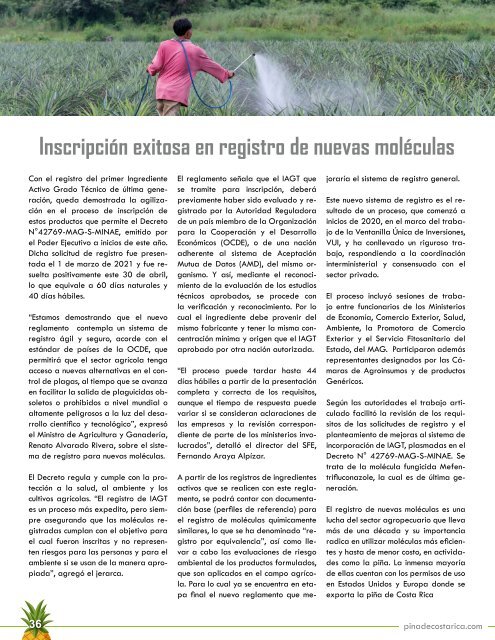 REVISTA PIÑA DE COSTA RICA 39