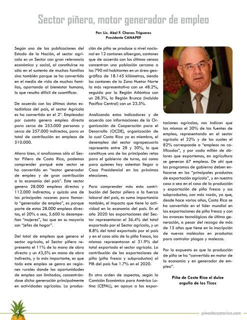 REVISTA PIÑA DE COSTA RICA 39