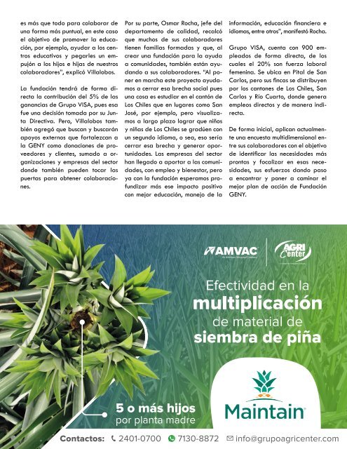 REVISTA PIÑA DE COSTA RICA 39