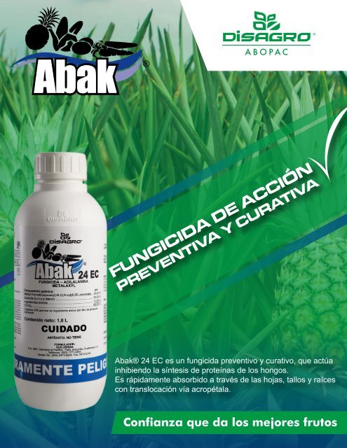 REVISTA PIÑA DE COSTA RICA 39