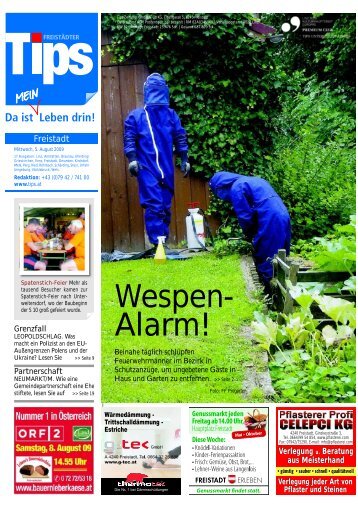 Wespen- Alarm! - FF Pregarten