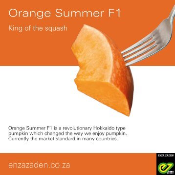 Leaflet Orange Summer F1