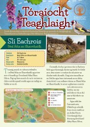 Toěraiěocht Teaghlaigh - Sliě Eachrois