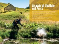 Estratto ALPIDOC 105/2021 A caccia di libellule nel Parco.  A cura di E. Raviola e N. Villani.