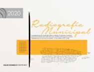 Radiografía Municipal 2020
