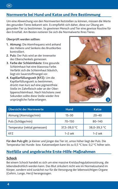 Erste Hilfe für Hunde und Katzen