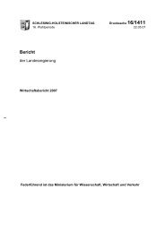 Mehr Wirtschaft Inhaltsverzeichnis - Landtag des Landes Schleswig ...