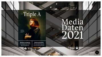 Mediadaten_Triple A_