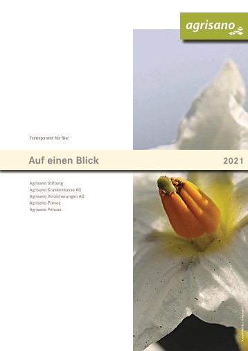 Auf einen Blick 2021