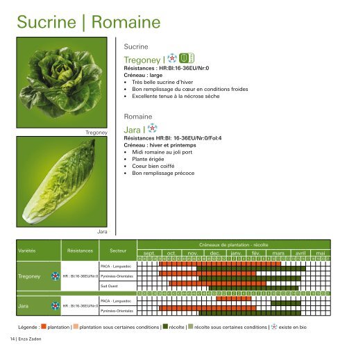 Catalogue salade d'abri saison 2021-22