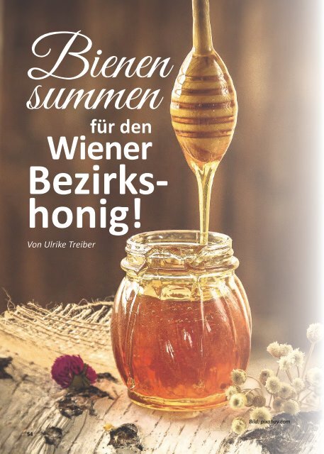 MLL Magazin Gesundheit u. Natur Heft3