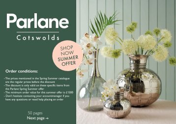 Parlane Stock offer final2