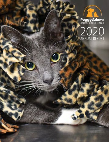 Peggy Adams Animal Rescue League 2020 Annual Report