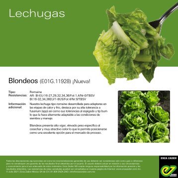 Leaflet Blondeos 2021