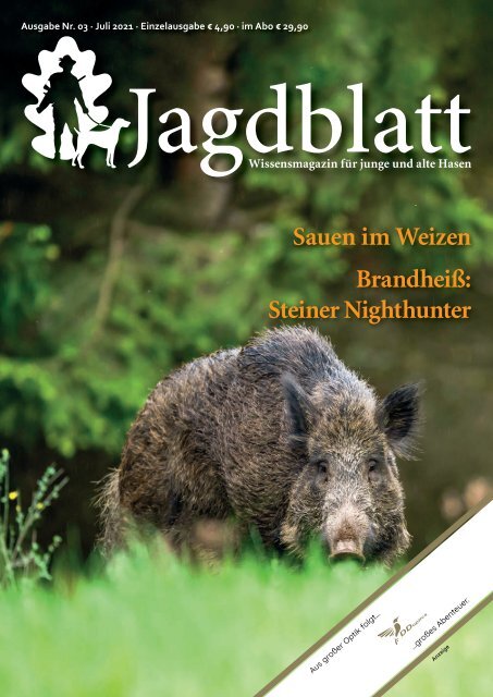 210721_01_A00_2021_03_Jagdblatt_Sauen im Weizen