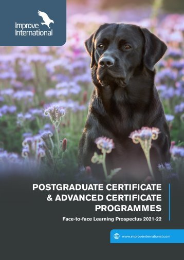Improve International - UK Postgraduate Certificate Prospectus