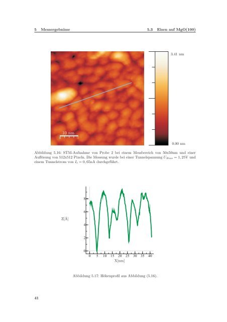 Rastertunnelmikroskopie an epitaktischen Eisenschichten auf MgO ...