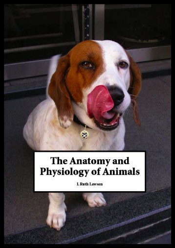 Anatomy and Physiology of Animals, 2015