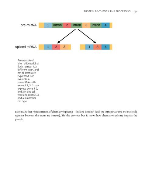 An Interactive Introduction to Organismal and Molecular Biology, 2021