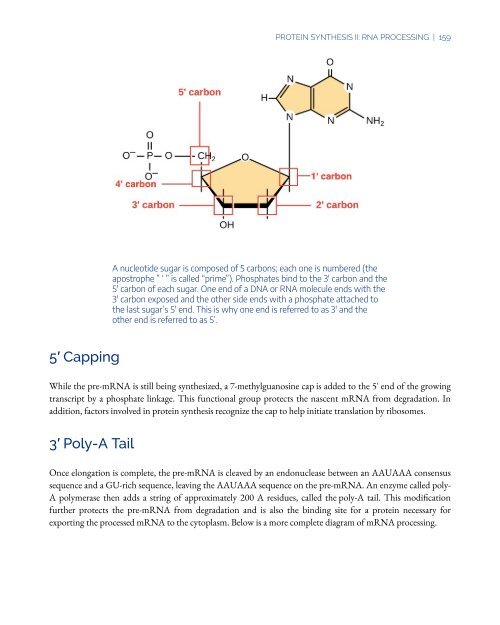 An Interactive Introduction to Organismal and Molecular Biology, 2021