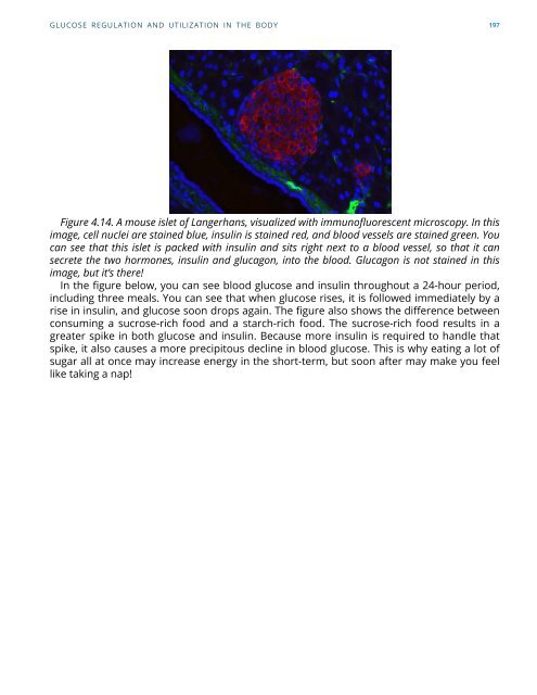 Nutrition Science and Everyday Application - beta v 0.1