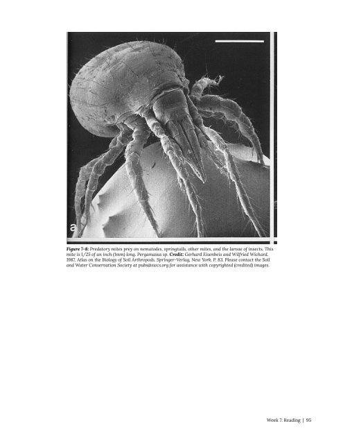 Entomology 311 Lab Manual - 1st Edition, 2019