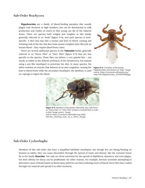 Entomology 311 Lab Manual - 1st Edition, 2019