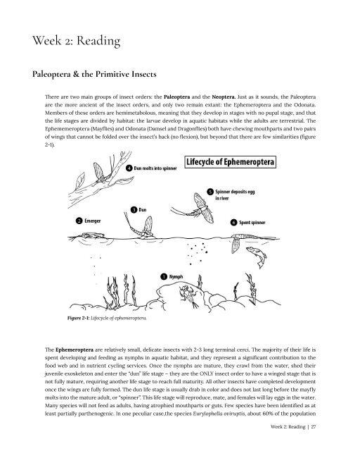 Entomology 311 Lab Manual - 1st Edition, 2019