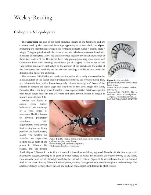 Entomology 311 Lab Manual - 1st Edition, 2019