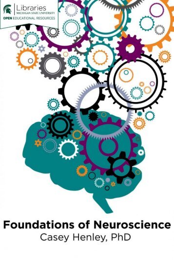 Foundations of Neuroscience, 2021