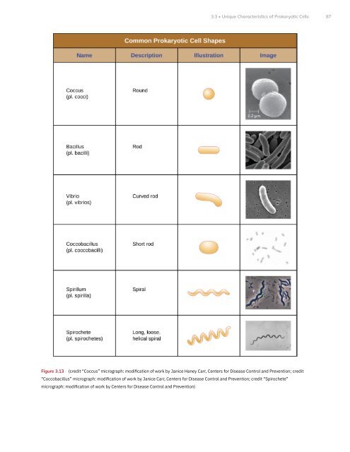 Microbiology, 2021