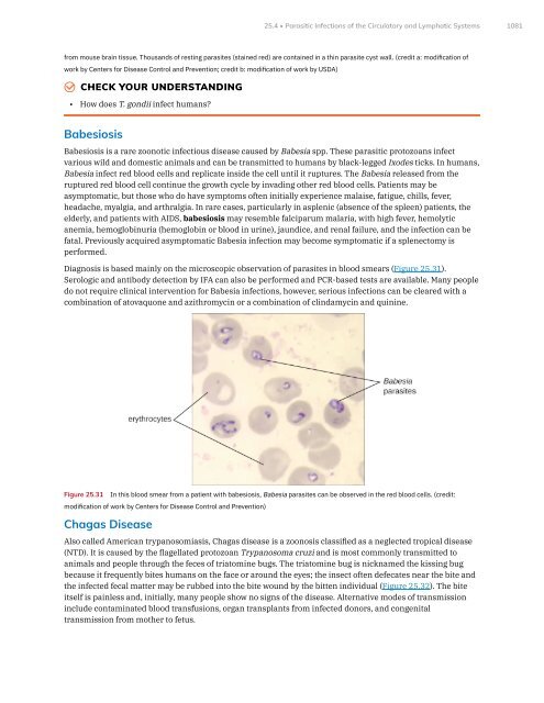 Microbiology, 2021