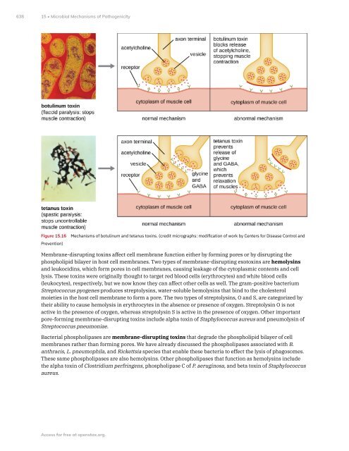 Microbiology, 2021