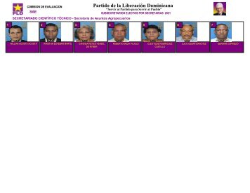 Lista de subsecretarios (as) escogidos por votación en reunión de CP del PLD 