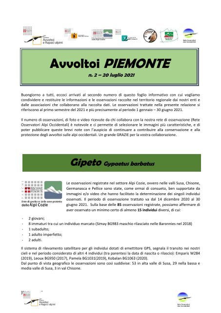 Avvoltoi Piemonte n.2 | luglio 2021