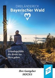 Katalog 2018 Web